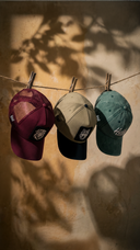 Colección de Gorras