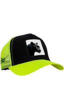 Gorra con Parche Pantera