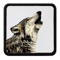 Parche Lobo Nocturno para Gorras BlackBork BlackBörk
