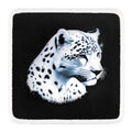 Parche Leopardo para Gorras BlackBork BlackBörk