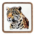 Parche Tigre Real para Gorras BlackBork BlackBörk